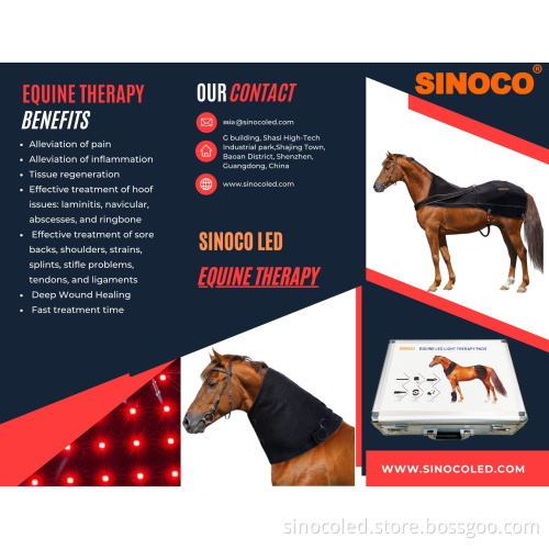 Red Light Therapy Instruments for Equine and Pet Care